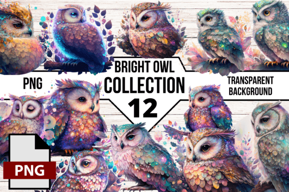 Infusing Character with Bright Owl Vector Graphic Illustrations