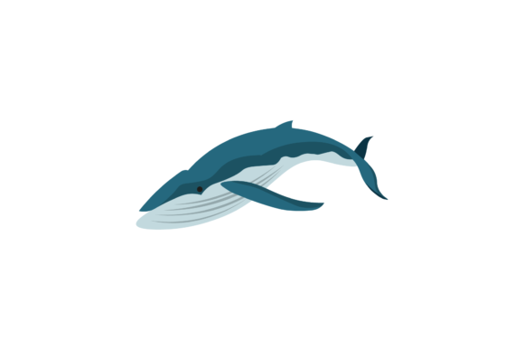 Whale Humpback Illustrations Realis: A Designer's Go-To for Impact